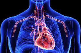 Advancements in Heart Valve Replacement: Restoring Health and Vitality