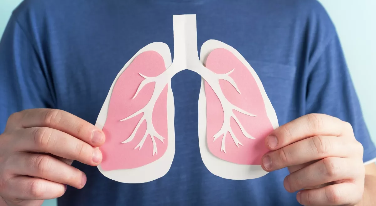 Lung 